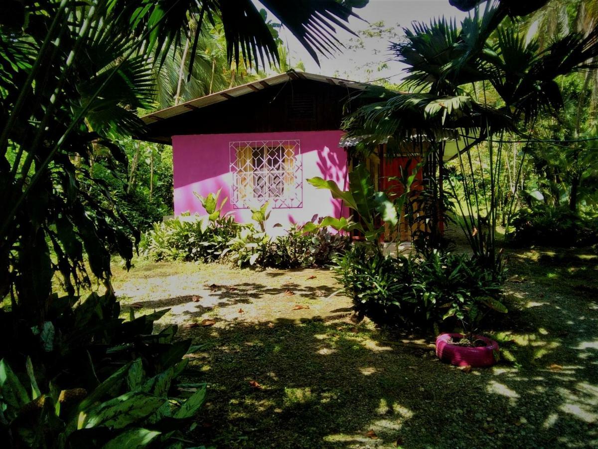 Cabinas Algebra Cahuita Ngoại thất bức ảnh