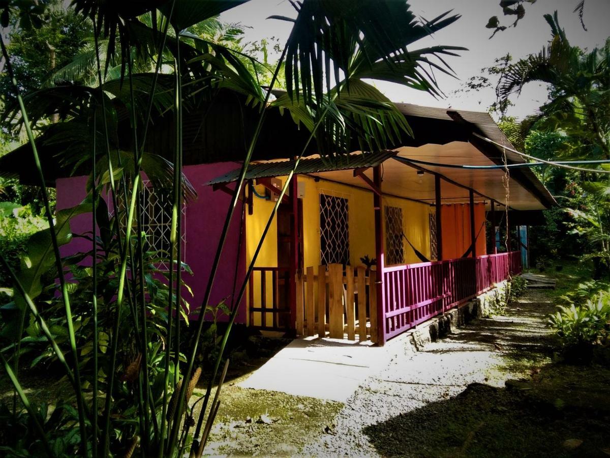 Cabinas Algebra Cahuita Ngoại thất bức ảnh
