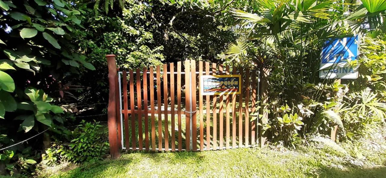 Cabinas Algebra Cahuita Ngoại thất bức ảnh
